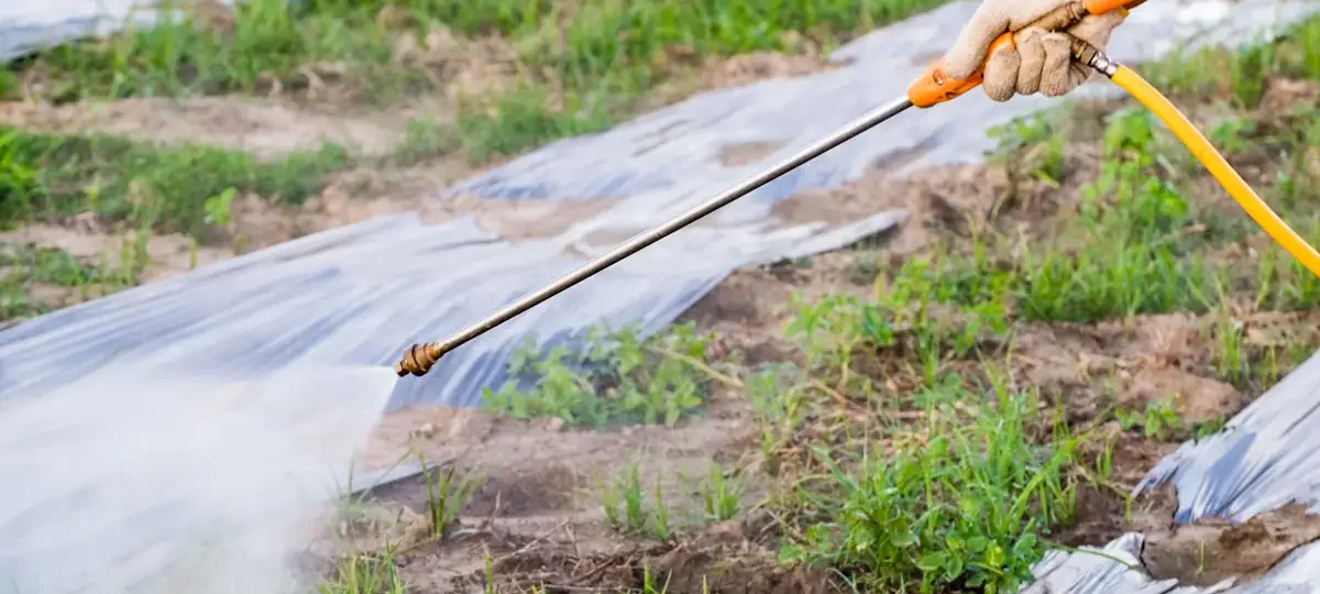 Une personne qui disperse du produit sur de l'herbe